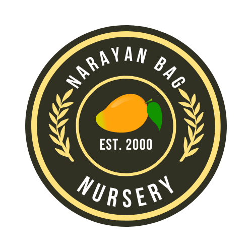 Narayan Bag Nursery