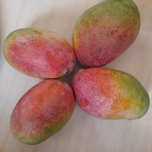 Singduriyo Mango